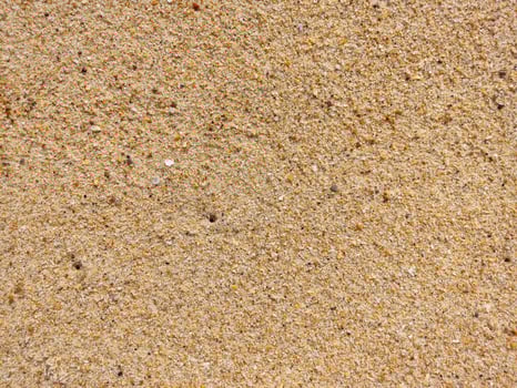 A close up of sand on the beach photo