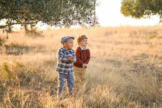 Two boys laugh under an amber sky, their palms full of freshly picked olives. photo