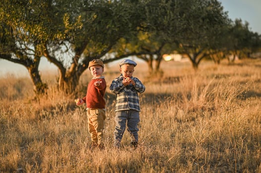A timeless scene of boys sharing a quiet moment, olives resting in their dusty palms. photo