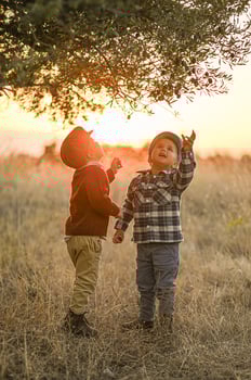 Olive branches surround two boys as they reach high, caught in timeless light. photo