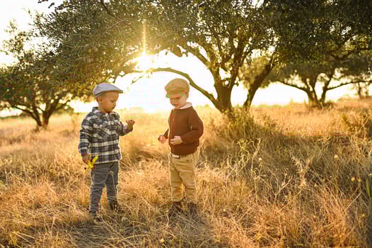 Two little boys crouch beneath an olive tree, their hands stained with fruit and sunlight. photo