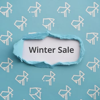 Winter Sale Announcement for Retail Business Promotion and Advertising photo