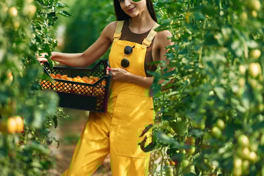 Young, woman, in ,yellow uniform is in garden with vegetables photo