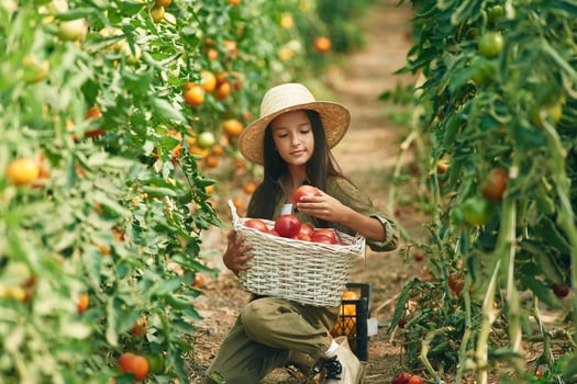Positive little, girl is, in the garden with tomatoes photo