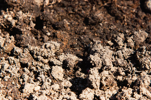 The land for planting flowers. Prepared soil. Close-up of black soil. Agriculture, soil before sowing. Fertile land texture, rural field landscape. photo