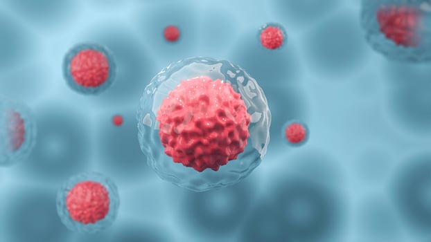Human cell or embryonic stem cell microscope On a blue light background, cellular therapy. photo