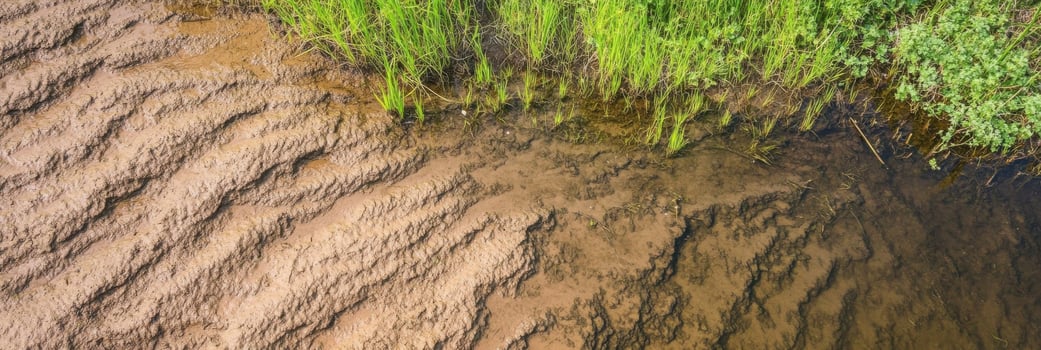 Aerial view of rippling mud patterns and vibrant grass at a waterside bank photo