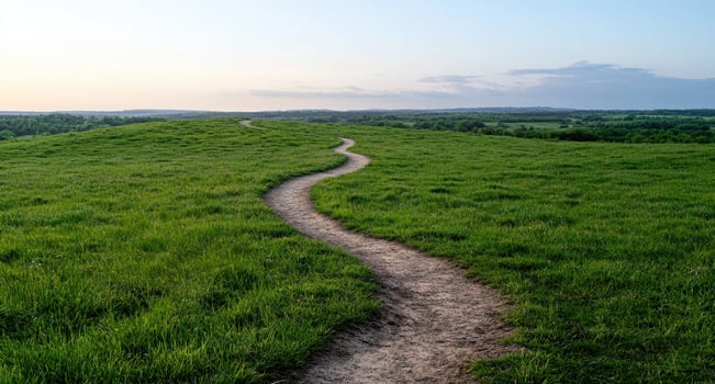 A winding path through a green meadow landscape photo