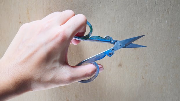 A hand holding a small stainless steel scissor photo