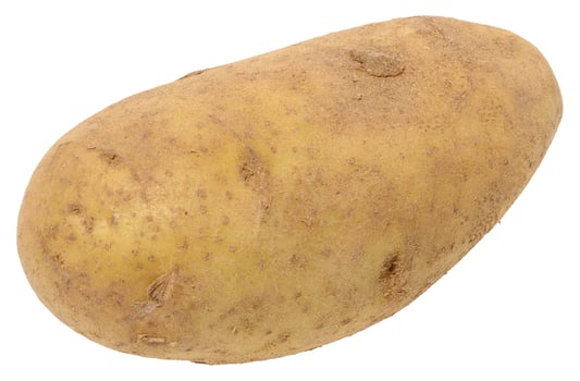 Whole potato with a light brown, slightly rough skin, isolated background. The potato has an oval shape photo