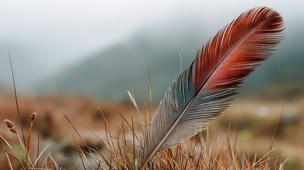 A red and black feather sitting in a field photo
