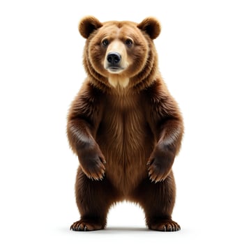 Realistic standing bear with fluffy fur and expressive face photo