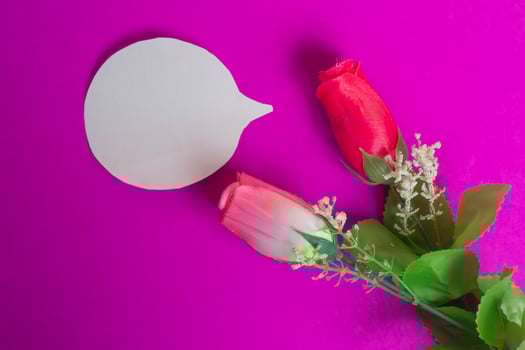 Romantic roses and speech bubble on a vibrant pink background for messages. photo