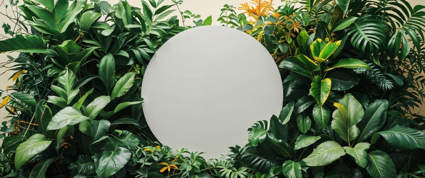 White Circle Amidst Lush Green Tropical Foliage photo