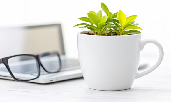 Bright Green Plant in White Mug with Laptop and Glasses on Desk, Perfect for Home Office, Study, or Workspace Decor and Inspiration photo