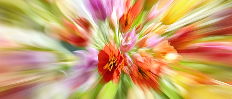 Colorful tulips in motion abstract photo