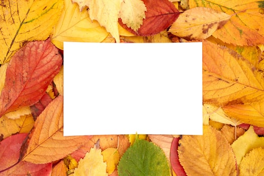 Vertical white card lies against the background of autumn foliage photo