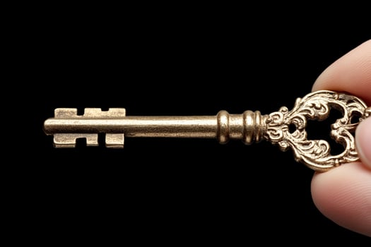 A person holding a key with a gold design photo