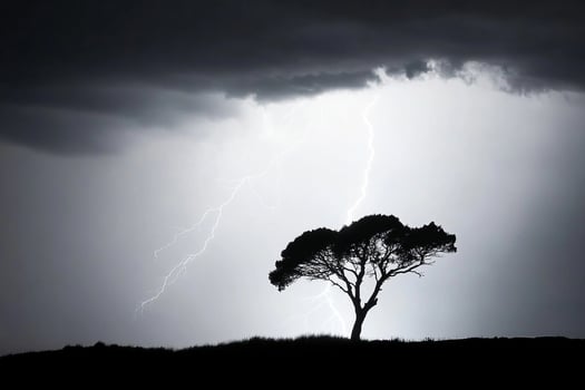 A lone tree stands in the middle of a stormy sky photo