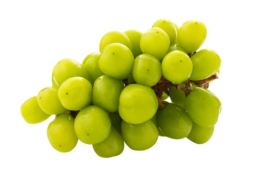 green grapes isolated on a white background photo