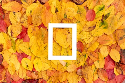 Thick white rectangular vertical hollow frame on yellow leaves photo