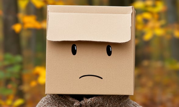 A person wearing a cardboard box on their head photo