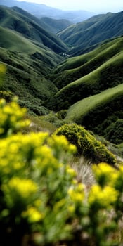 A view of the hills and green grass photo