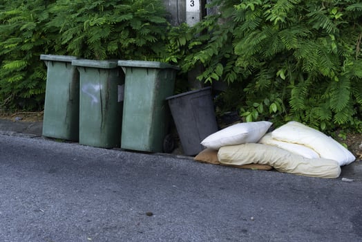Discarded pillows and trash bins on roadside surrounded by green foliage, evoking sense of neglect photo