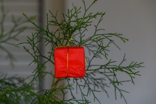 Small red gift wrapped shiny paper hangs from a vibrant green branch during a festive celebration photo