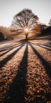 Beautiful sunrise casting long shadows through frost photo