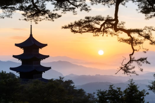 Sunrise illuminating traditional korean pagoda behind pine tree branches photo