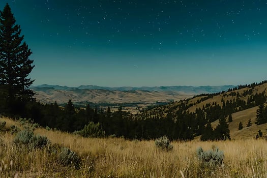 Starry Night Over Rolling Hills and a Coniferous Forest. photo