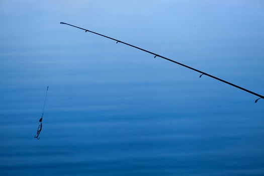 Evening fishing rod photo