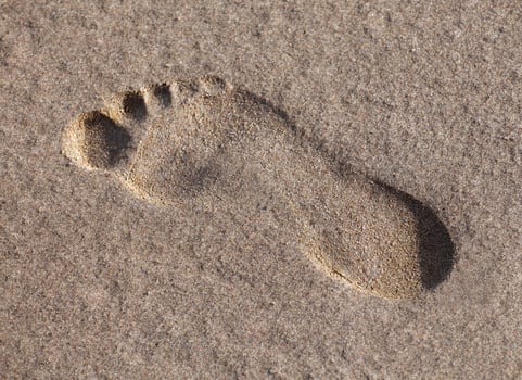 Footprint in the wet sand photo