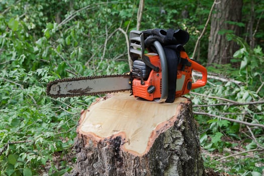 Chainsaw standing on a stump photo