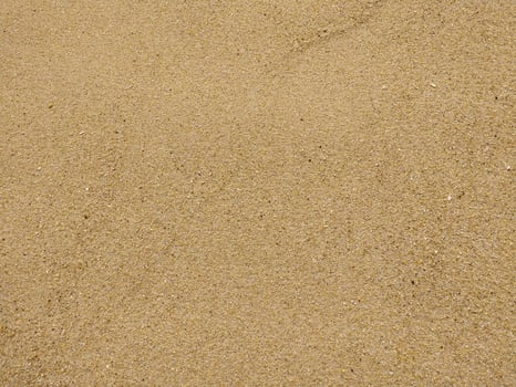 Fine golden sand a beach during a sunny day with clear skies, creating a serene and tranquil atmosphere for relaxation photo