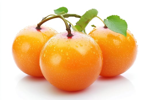 three ripe plums with leaves on a white background photo