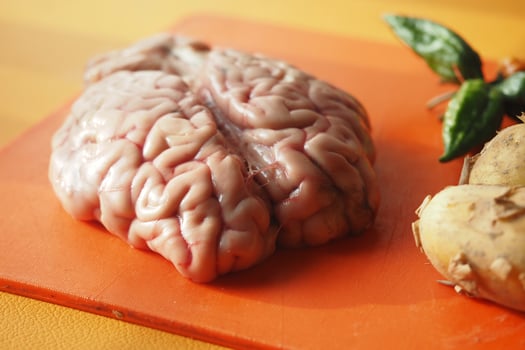 Brain displayed on cutting board beside herbs and vegetables photo