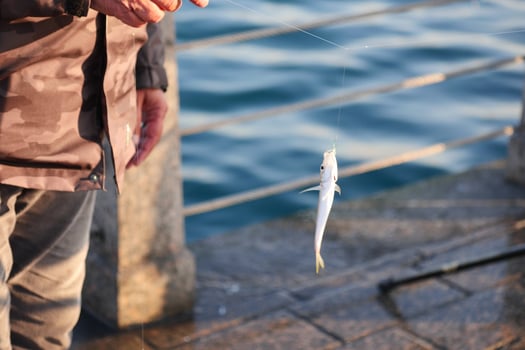 Fisherman catches a small fish on a sunny waterfront pier photo