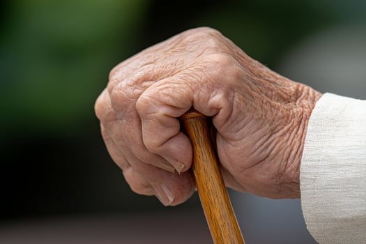 An elderly person holding a wooden stick photo