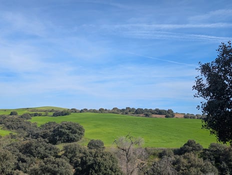Lush green hills under a clear blue sky on a sunny day in a rural landscape photo