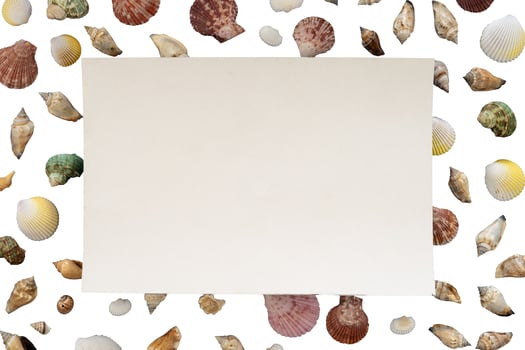 sea shells pattern with blank paper copy space background photo