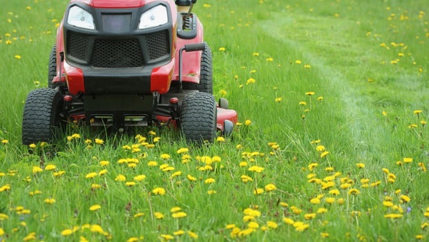 Mowing or cutting the long grass with a lawn mower Gardening concept background photo