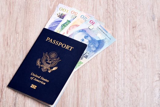 American passport with Georgian money photo