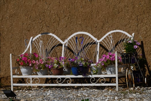 Charming outdoor bench adorned with vibrant flowers against a rustic earthen wall on a sunny day photo