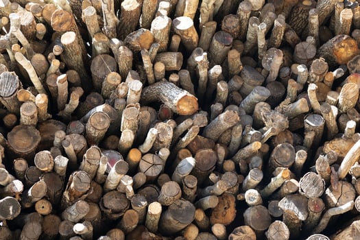 The natural wood surface and the irregular arrangement of the logs create a visually intriguing pattern photo