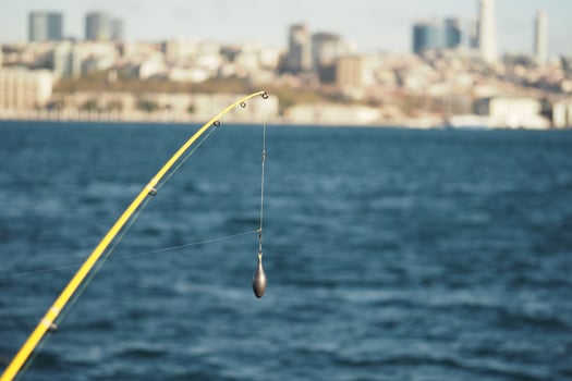 Fishing line casts over calm water with city skyline in background photo