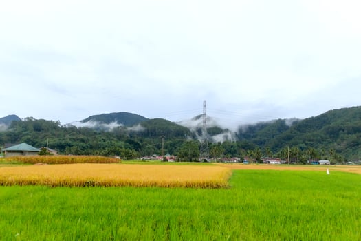 Beautiful view in a village in the morning with rice fields and hills photo