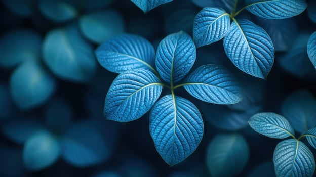 Vibrant blue leaves with intricate textures creating a peaceful atmosphere in a natural setting photo
