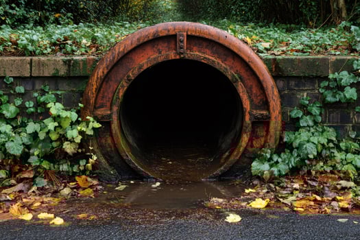 Rusty drainage pipe emerging from brick wall in lush green environment photo